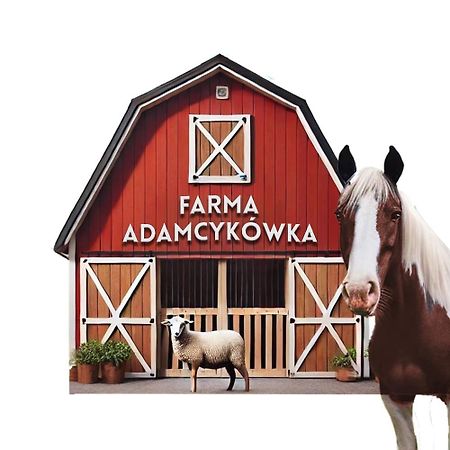 Apartamenty Adamcykowka Blisko Velo Czorsztyn! Kluszkowce Exteriér fotografie