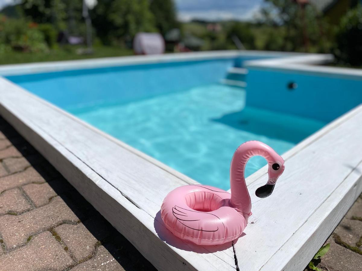 Apartamenty Adamcykowka Blisko Velo Czorsztyn! Kluszkowce Exteriér fotografie
