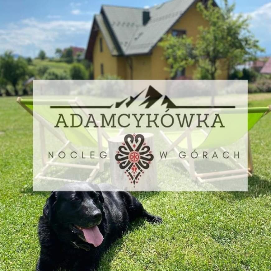 Apartamenty Adamcykowka Blisko Velo Czorsztyn! Kluszkowce Exteriér fotografie