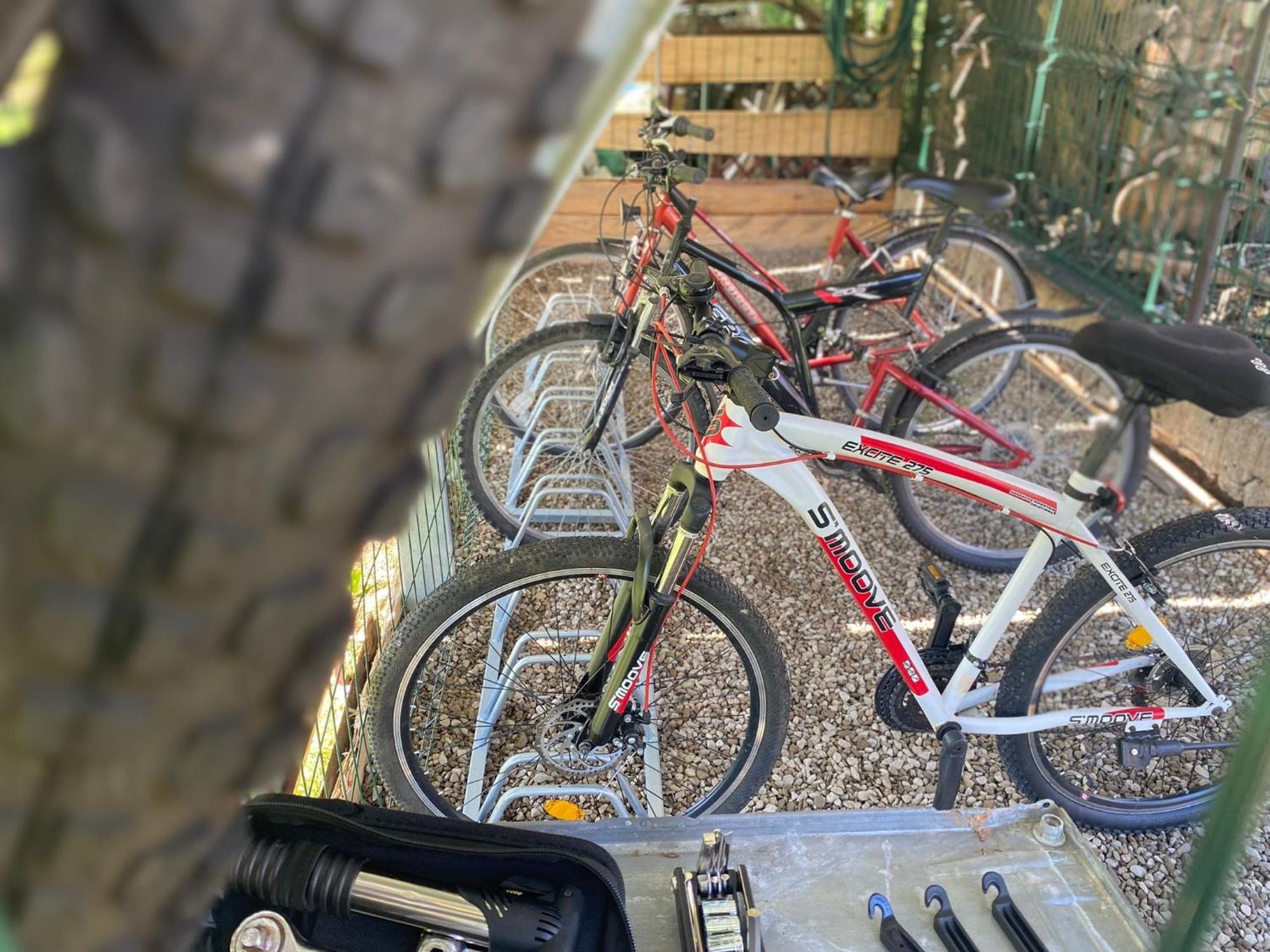 Apartamenty Adamcykowka Blisko Velo Czorsztyn! Kluszkowce Exteriér fotografie