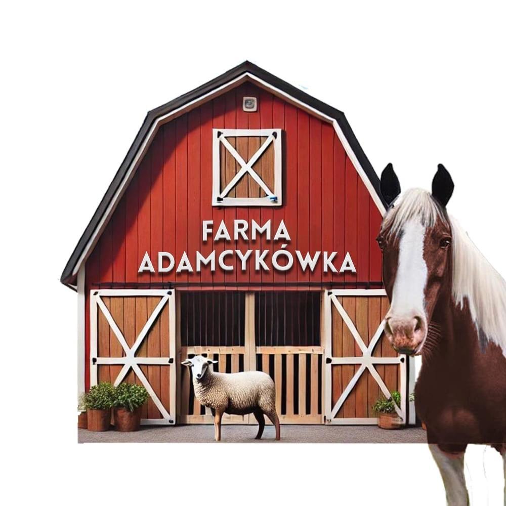 Apartamenty Adamcykowka Blisko Velo Czorsztyn! Kluszkowce Exteriér fotografie